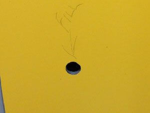 Hole in IPS Wall
