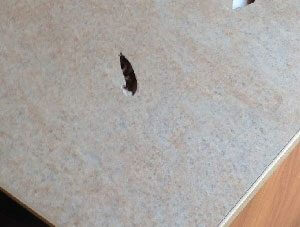 Hole in laminate table