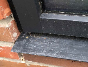 Window Repair Services