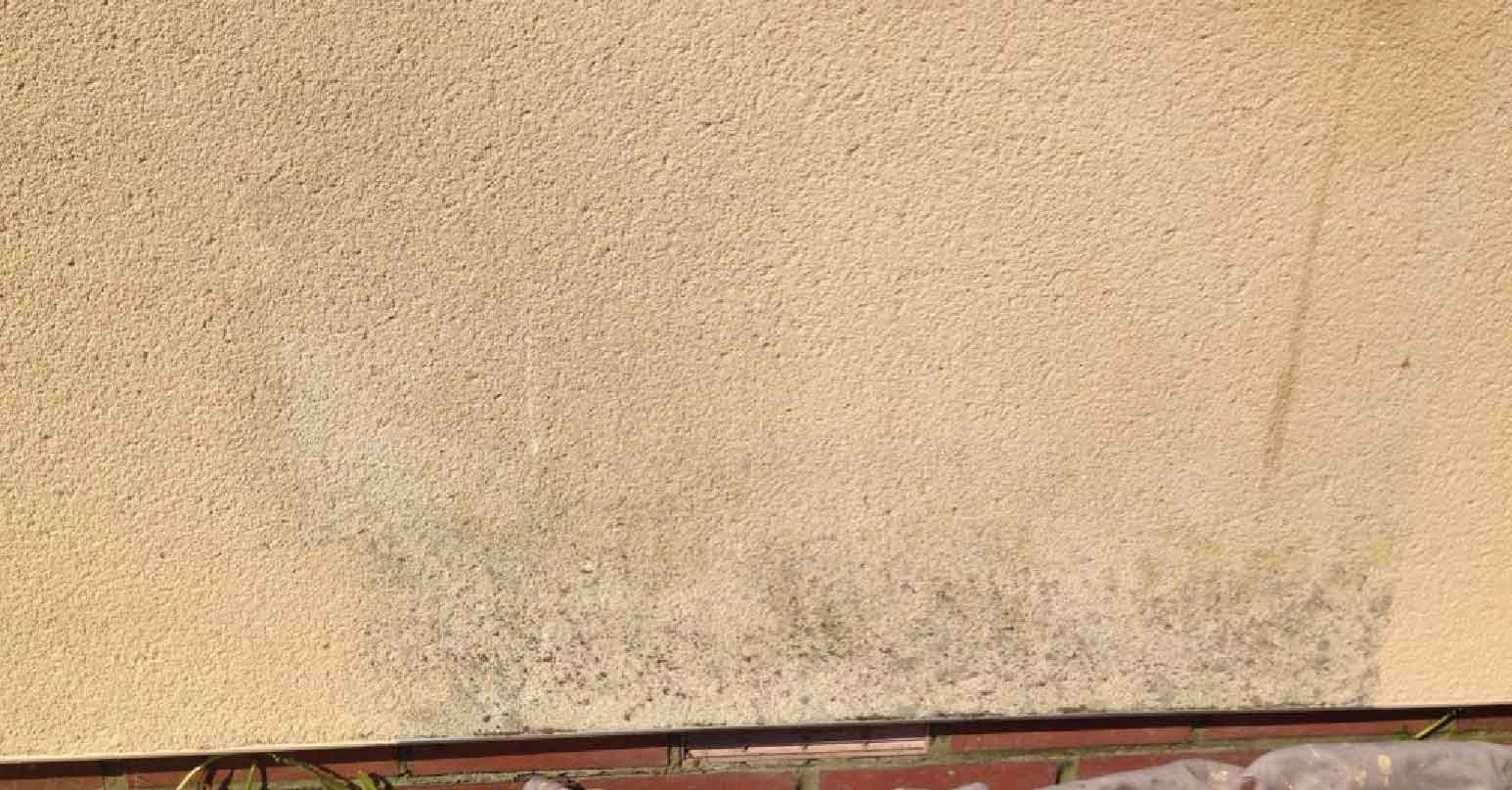 Stained wall render - Before repair