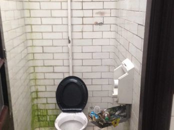 Damaged glazed bricks inside toilet