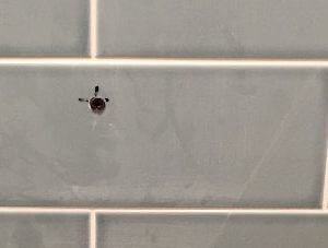 Hole in wall tile