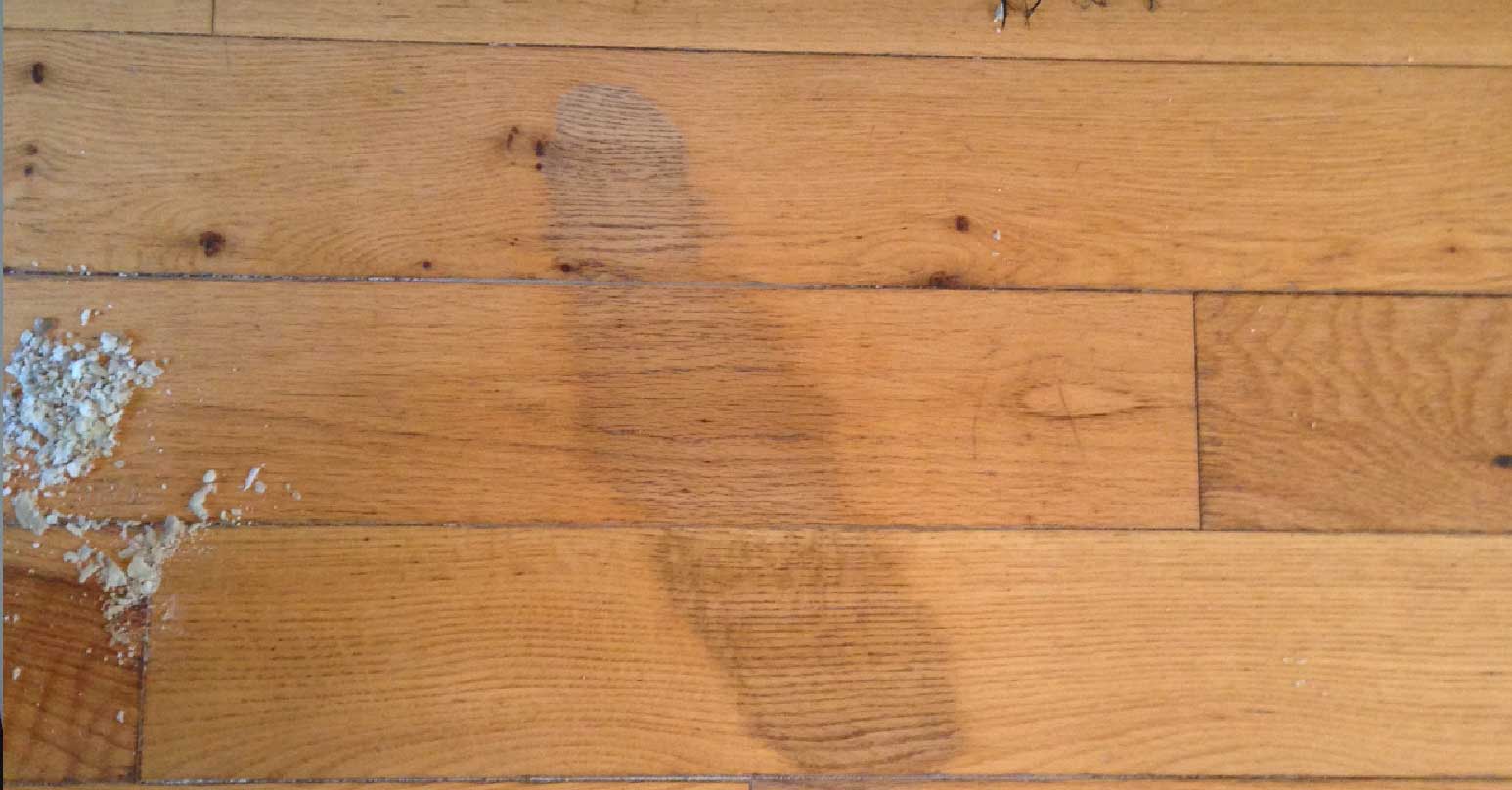 Stain on solid wood floor - Before repair