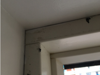 Window frame repair - before