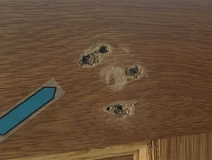 Holes in wooden door