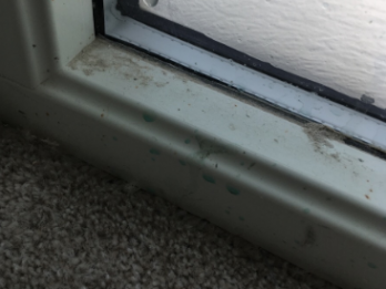 Window surround repair before