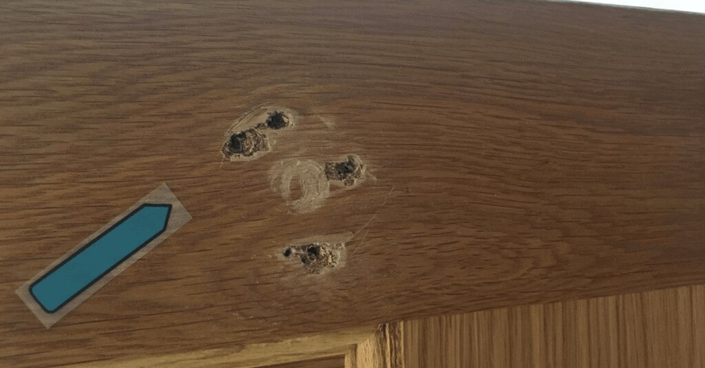 Holes in wood door - Before repair